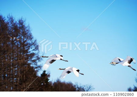 父母和孩子在藍天上的飛行 110902860