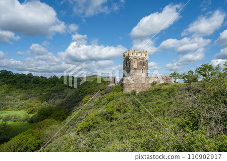 Panoramic image of old Wernerseck castle during Summer in Eifel, Rhineland-Palatinate, Germany near Town OCHTENDUNG 110902917