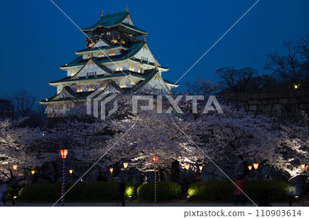 Osaka castle and cherry blossoms 2 110903614