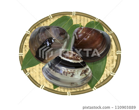 Clams (with colander and bamboo leaves) 110903889