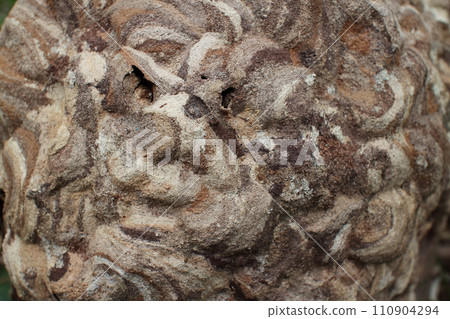 Wasp nest pattern Wasp nest pattern 110904294