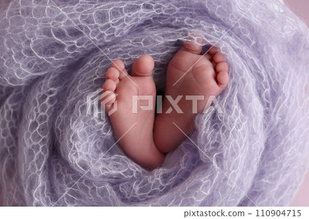 The tiny foot of a newborn baby. Soft feet of a new born in a lilac, purple wool blanket. Close up of toes, heels and feet of a newborn. Macro photography. The tiny foot of a newborn baby. Soft feet of a new born in a lilac, purple wool blanket. Close up of toes, heels and feet of a newborn. Macro photography. 110904715