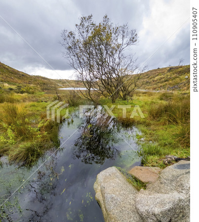 View of the beautiful stream in Bonny Glen in County Donegal - Ireland. 110905407