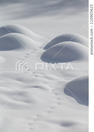 fresh snow snow 110905625