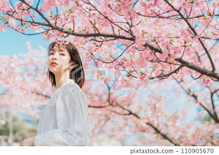 Cherry blossoms and a young woman 110905670