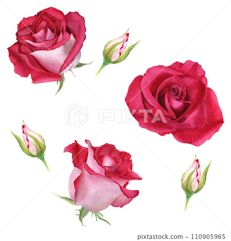 Watercolor seamless pattern with flower Rose blooms and buds. Botanical watercolor illustration. For wrapping wallpaper fabric textile Watercolor seamless pattern with flower Rose blooms and buds. Botanical watercolor illustration. For wrapping wallpaper fabric textile 110905965