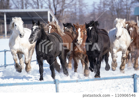 馬追逐運動 110906546