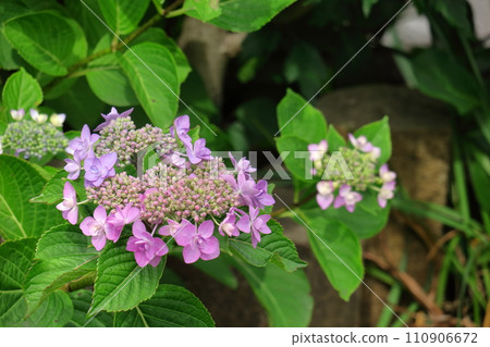 It gets wet when it rains 110906672