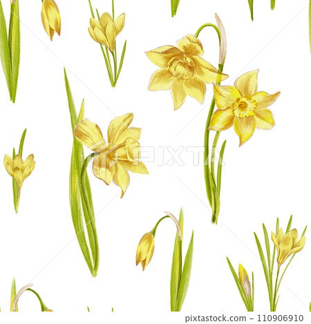 Seamless pattern of hand drawn yellow narcissus flowers on white background. Watercolor illustration. For your projects, textiles, stationery, fabric. 110906910