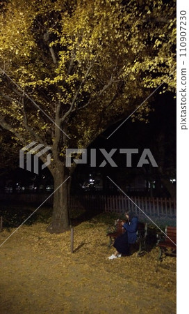 Autumn leaves lighted up Autumn leaves lighted up 110907230