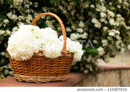 Wicker basket with white flowers, outside. 110907658