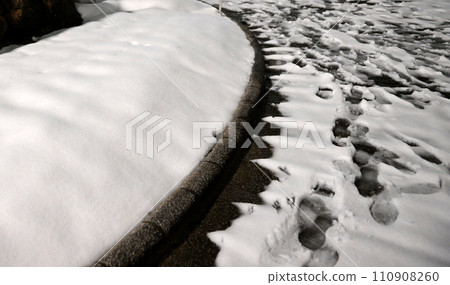 雪質 雪質 110908260