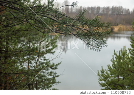 Photo of an autumn landscape. Shore, pond, trees Photo of an autumn landscape. Shore, pond, trees 110908753