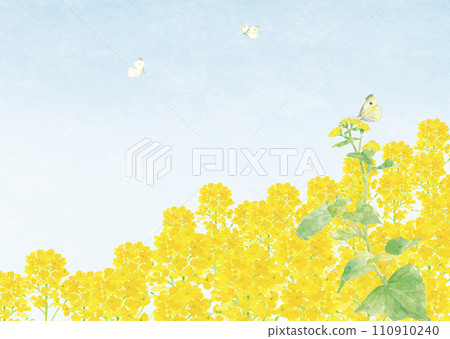 手繪水彩油菜田與蝴蝶插圖與複製空間 手繪水彩油菜田與蝴蝶插圖與複製空間 110910240