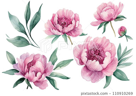 Set of pink peonies, watercolor, perfect for wedding invitations Set of pink peonies, watercolor, perfect for wedding invitations 110910269