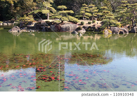 大阪市天王寺區慶澤園大池塘的中島 110910348