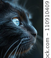[AI generated image/AI illustration] Sideways black cat, staring into the distance 110910409