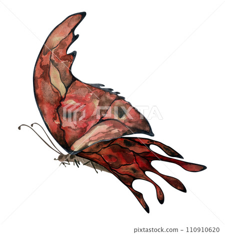 Hand drawn watercolor illustration butterfly fairy wings gem crystal insect moth. Garnet ruby sunstone agate fire opal. Single object isolated on white background. Design print shop, wedding, birthday 110910620