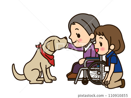 Therapy dog and grandma in wheelchair Therapy dog and grandma in wheelchair 110910855