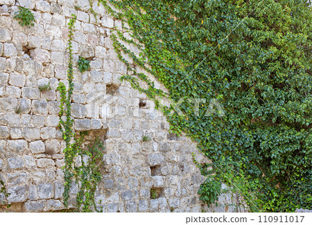Background of stone wall and ivy texture 110911017