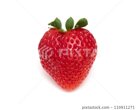 草莓栃合果 草莓栃合果 110911271