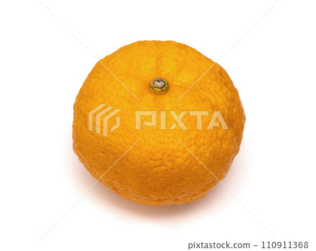 Yuzu Yuzu 110911368