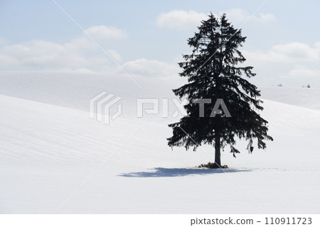 Snow scene in Furano in March Snow scene in Furano in March 110911723