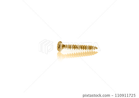 macro screw of golden color on a white background macro screw of golden color on a white background 110911725