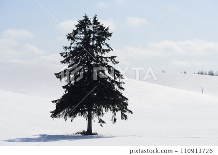 Snow scene in Furano in March Snow scene in Furano in March 110911726