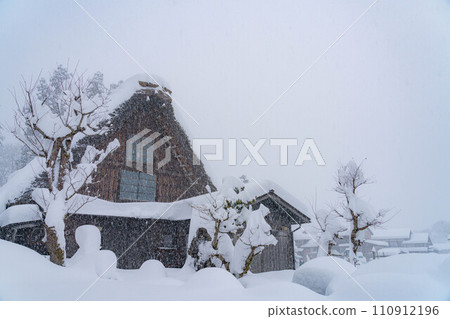 [World Heritage] Heavy snowfall in Shirakawa-go [Gifu Prefecture] 110912196