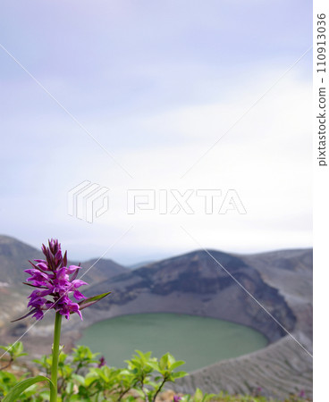 藍天和中國鴴 藍天和中國鴴 110913036