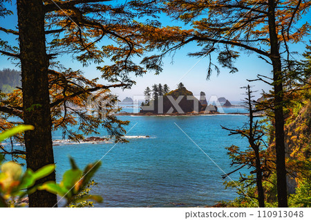 Coastal view of La Push Third Beach with sea stacks in Washington State 110913048