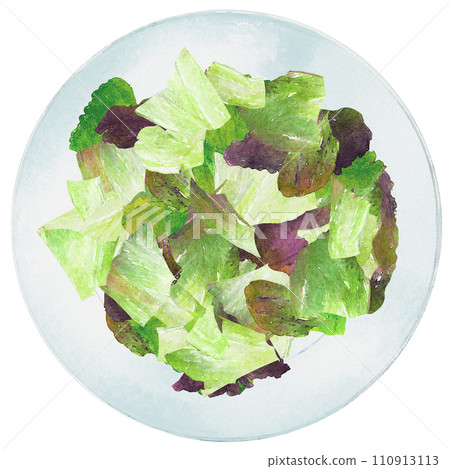 Sunny lettuce on a plate 110913113