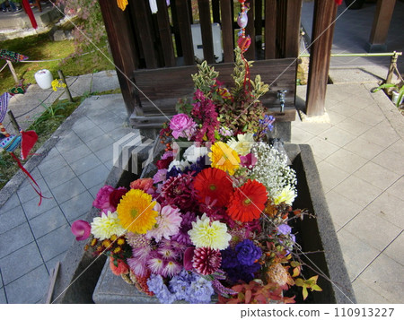 東福寺副寺少林寺 東福寺副寺少林寺 110913227