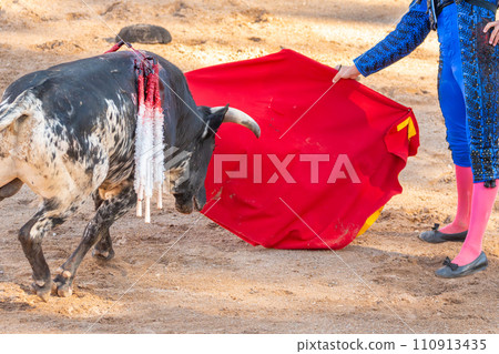 Bullfight in Spain. Spanish bullfighter in the bullfighting arena 110913435