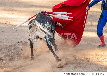 Bullfight in Spain. Spanish bullfighter in the bullfighting arena 110913457
