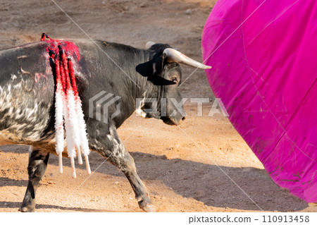 Bullfight in Spain. Spanish bullfighter in the bullfighting arena 110913458
