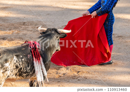 Bullfight in Spain. Spanish bullfighter in the bullfighting arena Bullfight in Spain. Spanish bullfighter in the bullfighting arena 110913460