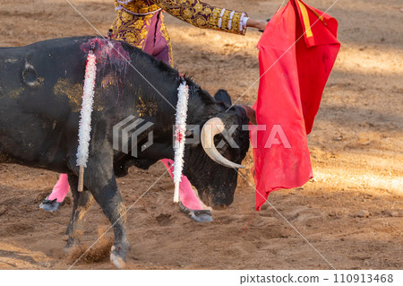 Bullfight in Spain. Spanish bullfighter in the bullfighting arena Bullfight in Spain. Spanish bullfighter in the bullfighting arena 110913468