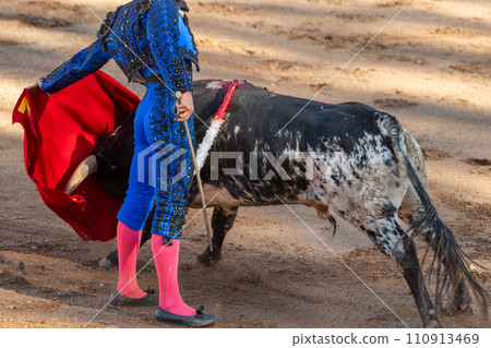 Bullfight in Spain. Spanish bullfighter in the bullfighting arena Bullfight in Spain. Spanish bullfighter in the bullfighting arena 110913469