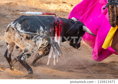 Bullfight in Spain. Spanish bullfighter in the bullfighting arena 110913471