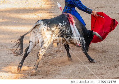 Bullfight in Spain. Spanish bullfighter in the bullfighting arena Bullfight in Spain. Spanish bullfighter in the bullfighting arena 110913476