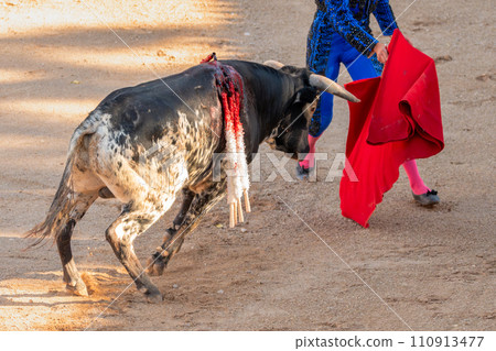 Bullfight in Spain. Spanish bullfighter in the bullfighting arena 110913477
