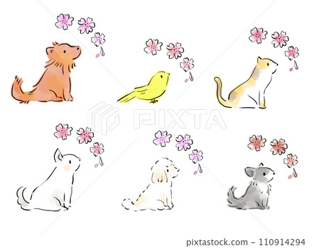 Illustration of cherry blossoms and sideways pets 110914294