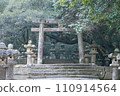 January lanterns and torii gates 110914564