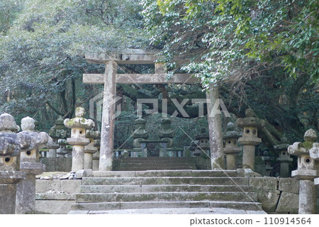 January lanterns and torii gates January lanterns and torii gates 110914564
