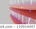 Laser shot through skin layer to collagen for Saggy skin and Facial treatment.  110914947