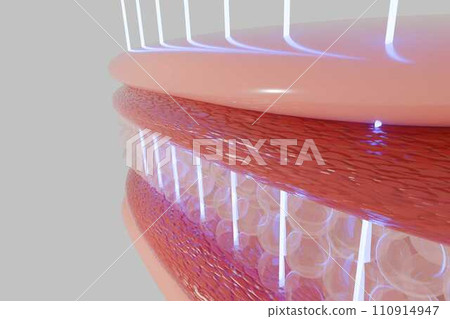 Laser shot through skin layer to collagen for Saggy skin and Facial treatment.  110914947