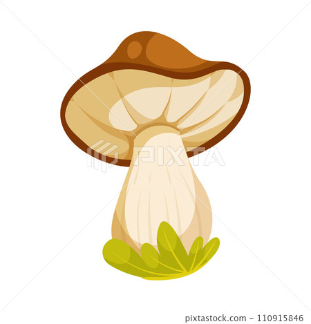 Mushroom with Stem and Cap as Landscape Element Vector Illustration Mushroom with Stem and Cap as Landscape Element Vector Illustration 110915846