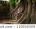 Princess Mother Memorial Park, Bangkok, Thailand 110916309